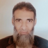 Sayed Ibrahim Radwan