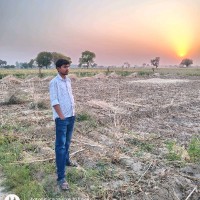 Shekhar Kumar Saini