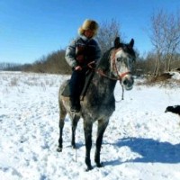 Ернар Шоханов