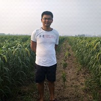 裴文龙
