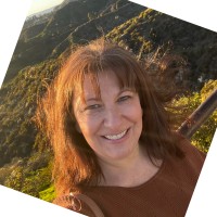 Lisa Constantine BSN, RN, CCM