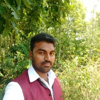 Ravi Kumar S