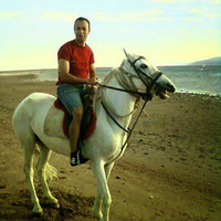 Mohamed Ansary