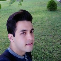 Moein Amini