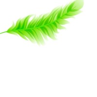 Nijanthan Nijanthan.A