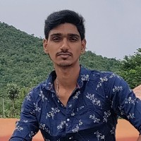 Velmurugan T