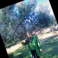 imen lassoued
