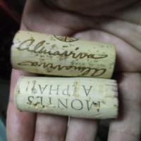 jonathan medel oliva