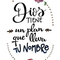 Y LM