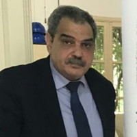 Prof. Mostafa H. Kamel