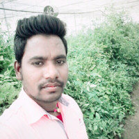 Satish Kumar Yadav Yadav