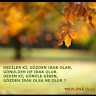 Derviş Sergen Çelebi