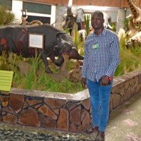Abel Matola