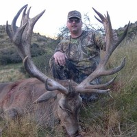 Dave Kalb