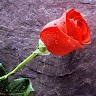 PRASHANTH noronha