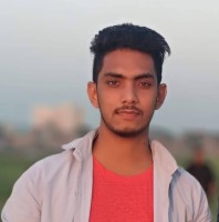 Md Hasan Ali