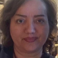 Nasrin Farshbaf Marab