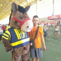 马风车