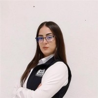 Dennis Arjona Hermosillo