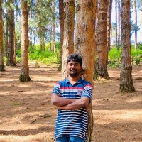 Koushik Kandregula
