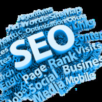 SEO course fees