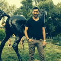 Ali Yılmaz Türkyılmaz