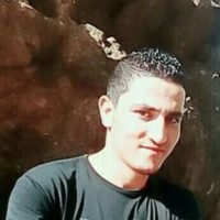 Hashem El-Sayed