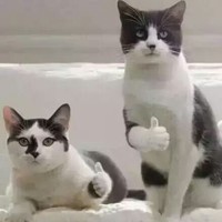 王树滨
