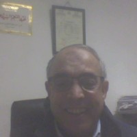 Abdelmoniem aly Aly