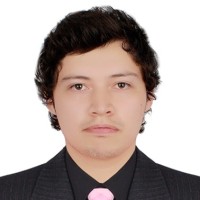 Henry Junior Linares Gotuzzo