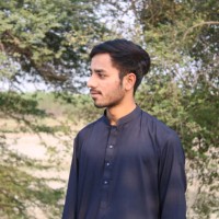 Saad Meer
