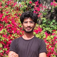 Hammad Gul