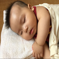 李秋鸿