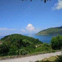 杨佳庆