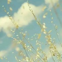 陈大虎