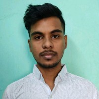 Ritwik Roy