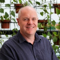 Todd Nicholls