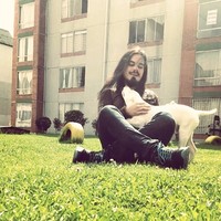 Jonathan Velásquez Higuera