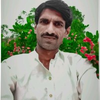 Sajid Ali