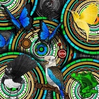 Beau Pennefather Motlop