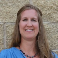 Heidi Gaedy, Pmp, Gisp