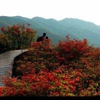黎明辉