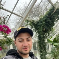 Dan Florin Memisi