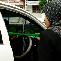 tiwi setyawan