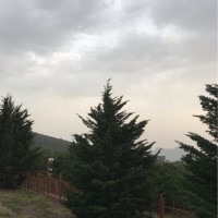 sultan alfaifi