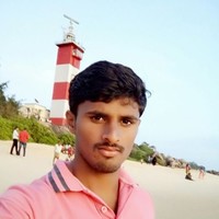 Shridhar Bapakar