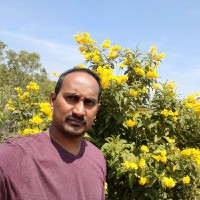 Satish Kumar Chandu