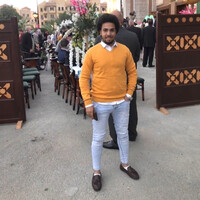 أحمد فايد