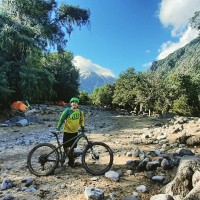 FELIPE ANDRES ORTEGA GUTIERREZ