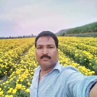 Mahadeo Damodar